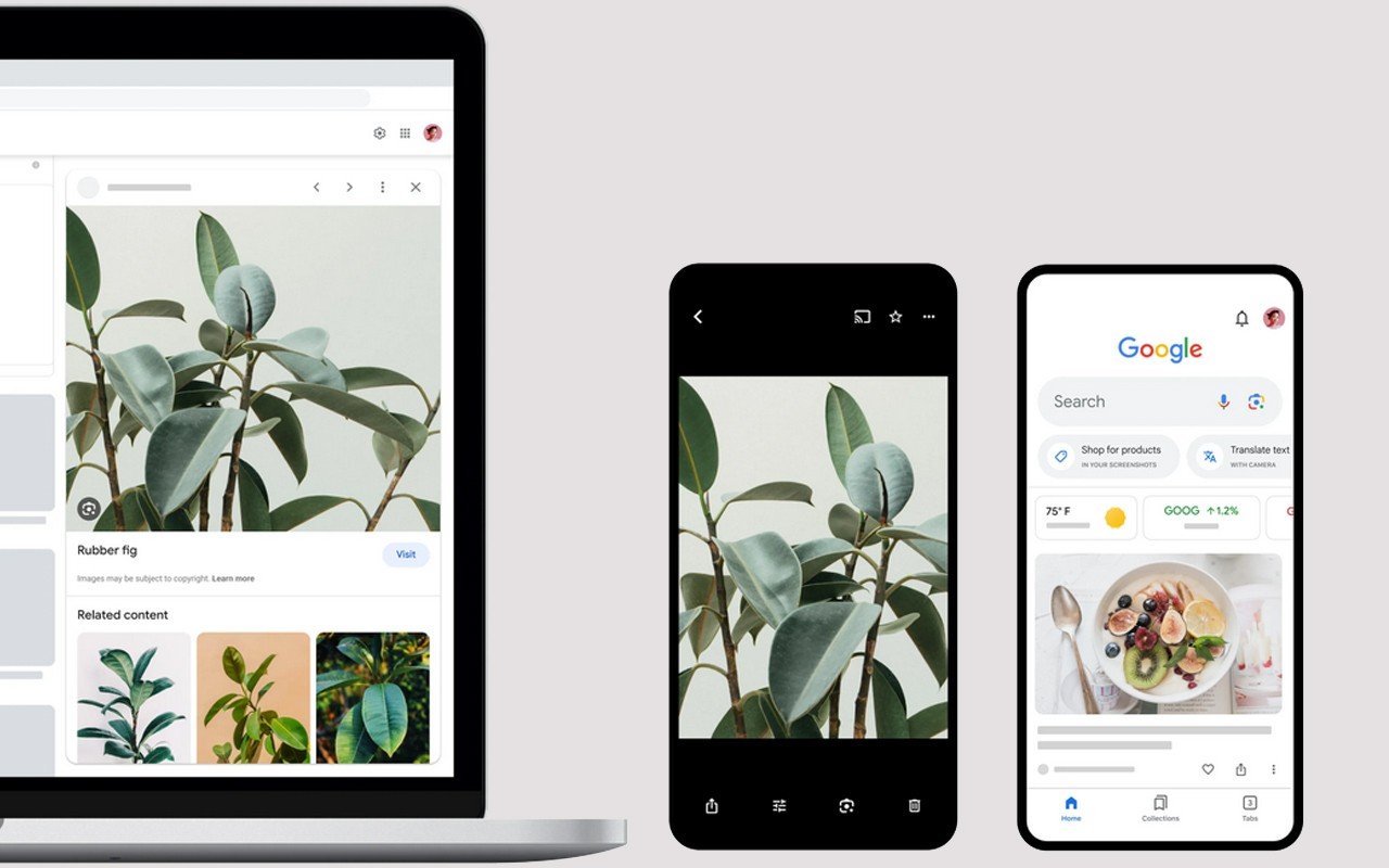 Ini Fungsi Google Lens dan Cara Menggunakannya